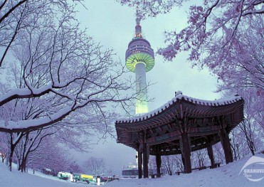 Tour Hàn Quốc Tết Nguyên Đán 2025: HÀ NỘI - SEOUL - LOTTE WORLD - TRƯỢT TUYẾT ELYSIAN