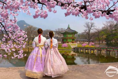 Tour Du Lịch Hàn Quốc 5 ngày 4 Đêm mùa hè (Bay VietNam Airline)